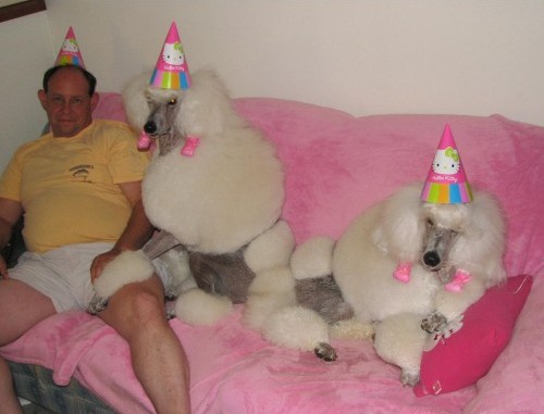 erre-her-det-er-party-eavisa-morsomme-fest-bilder