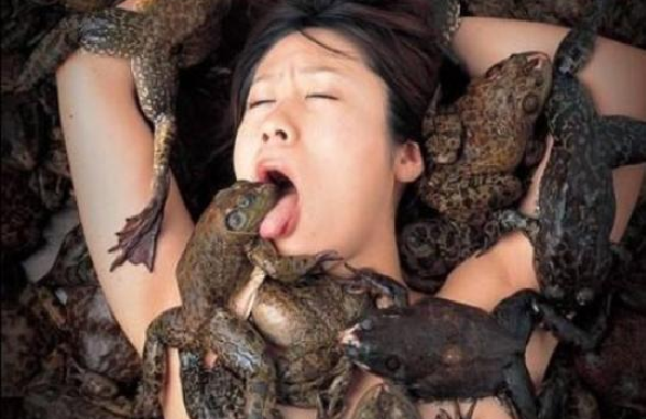 japan-wtf-eavisa