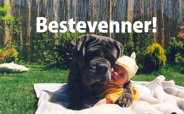 baby-hund-venner-eavisa