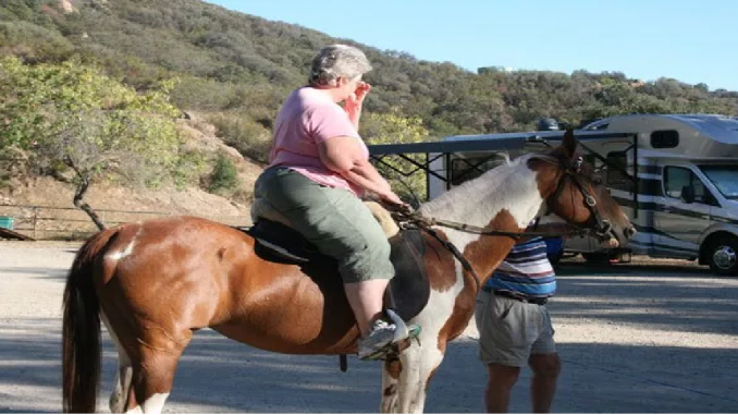hest-hobby-rase-satire-humor-eavisa