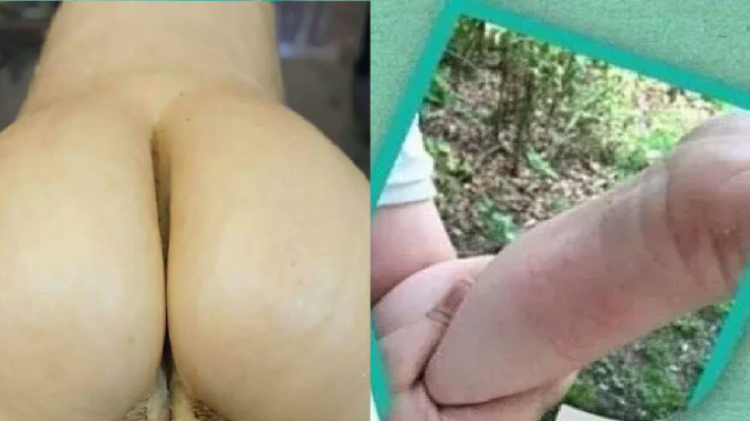 looks-like-other-things-funny-eavisa