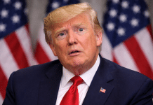 funny picture donald trump satire